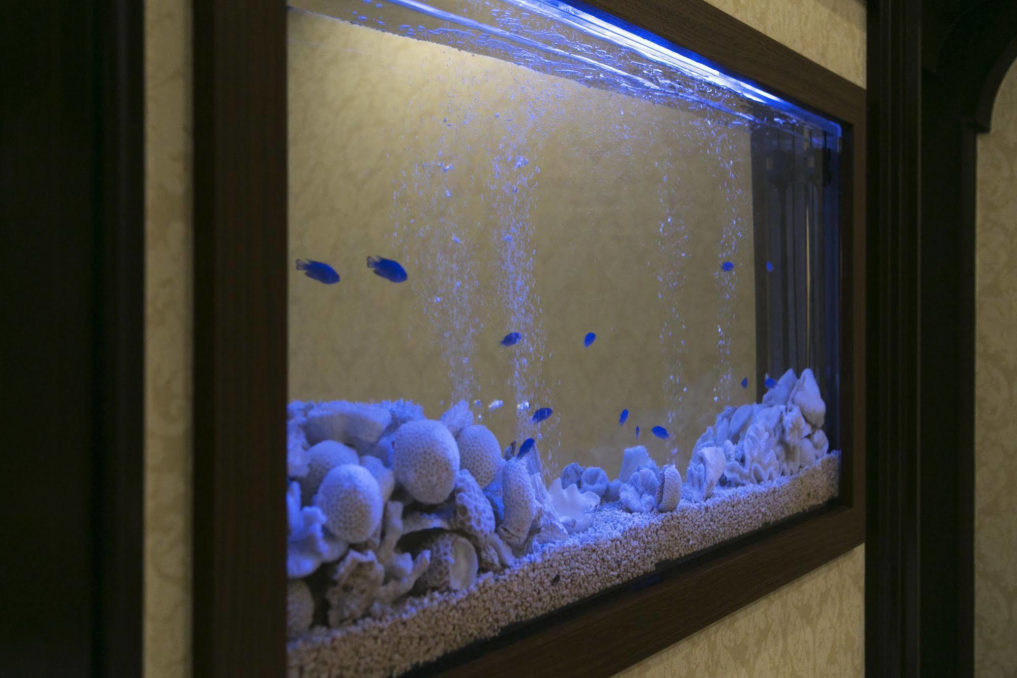 Hotel Atlantis Toyonaka (Adults Only) מראה חיצוני תמונה